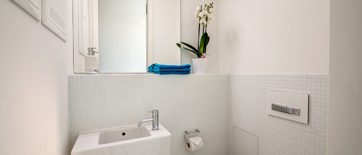 apartment München Nymphenburg 01 separate toilet 10533