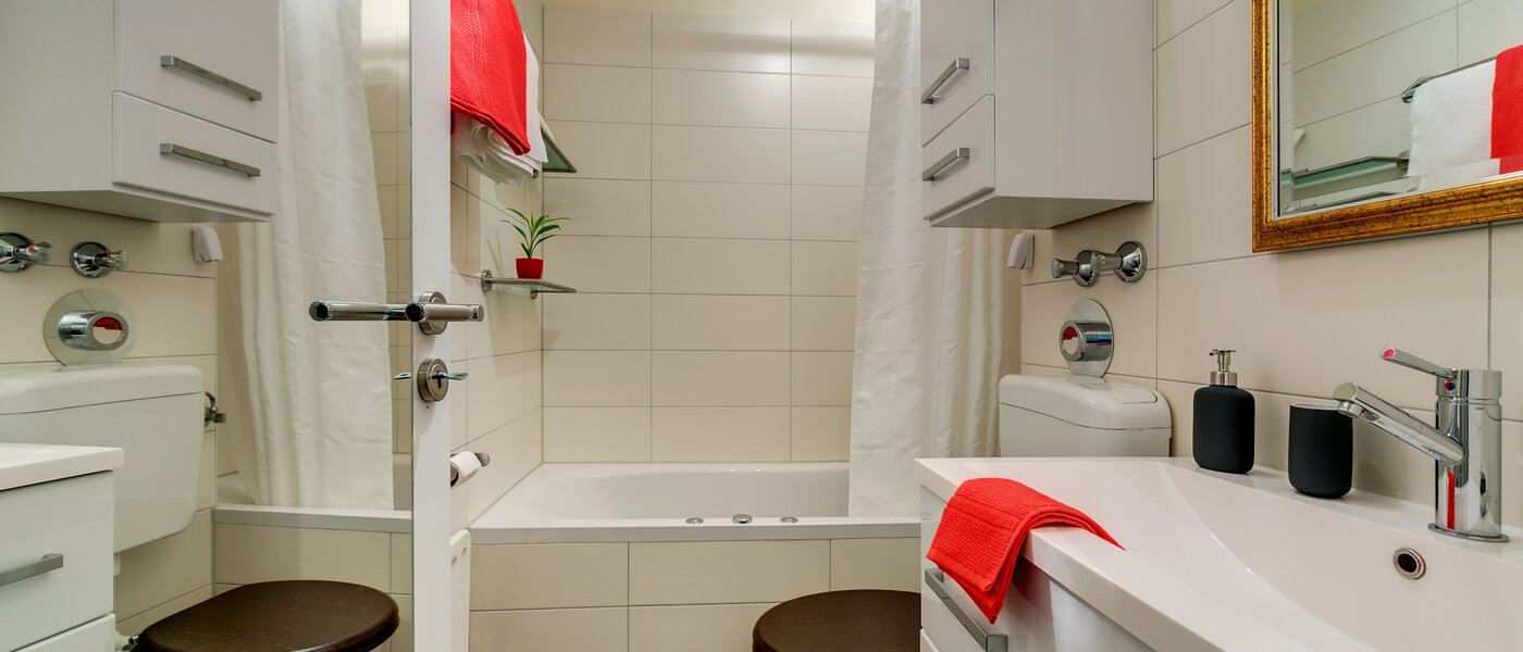 apartment München Oberföhring 01 bathroom 10534