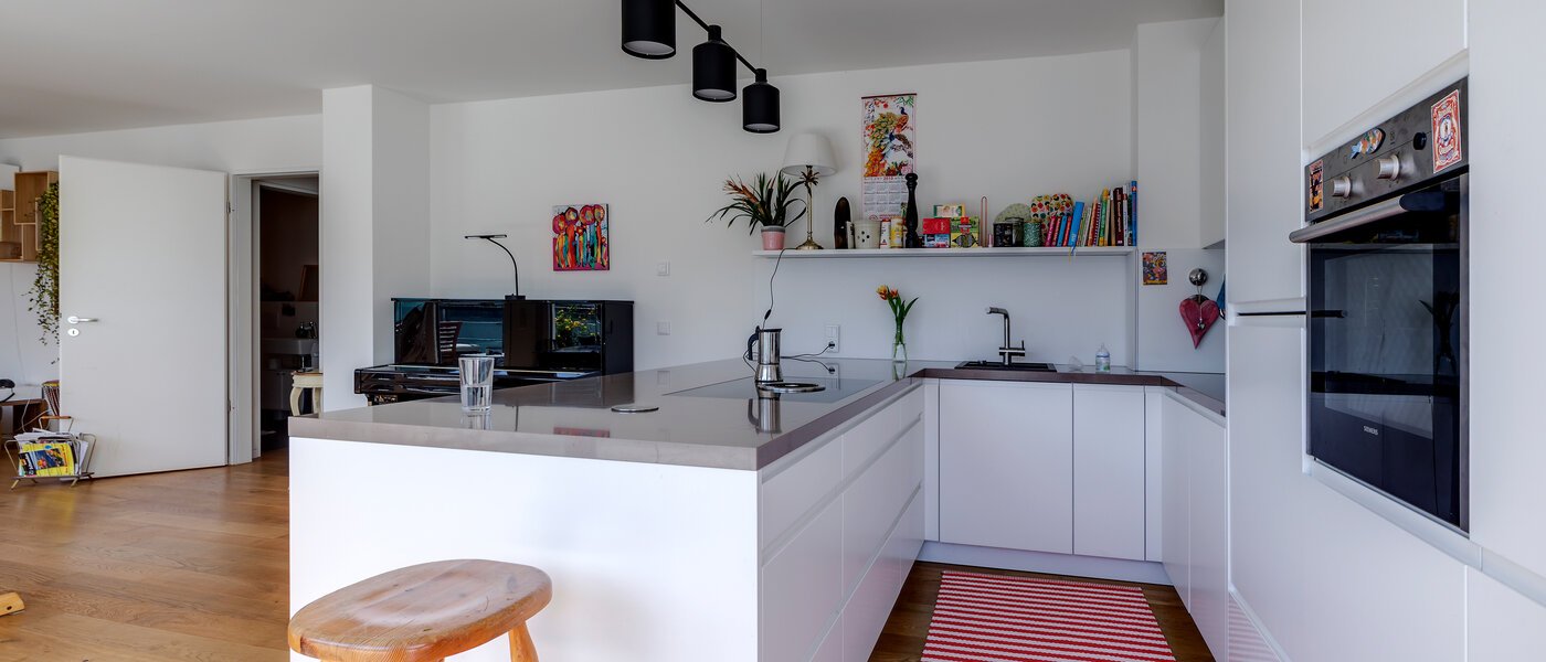 apartment München Mittersendling 02 kitchen 10537