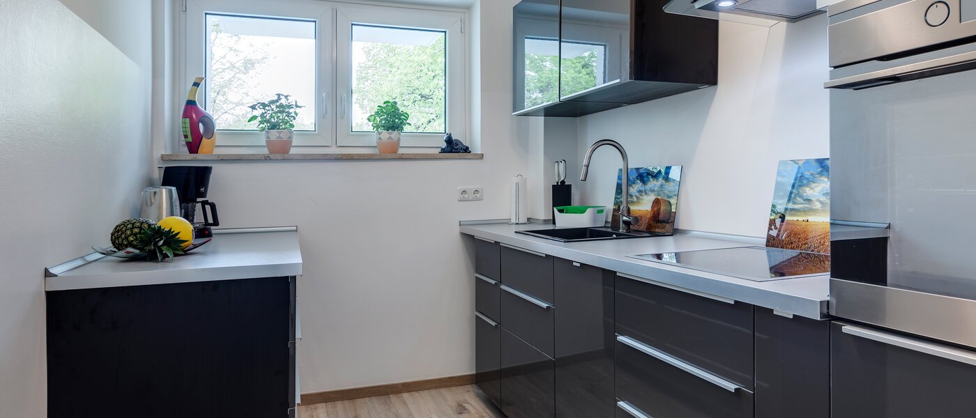 apartment München Haidhausen 01 kitchen 10555