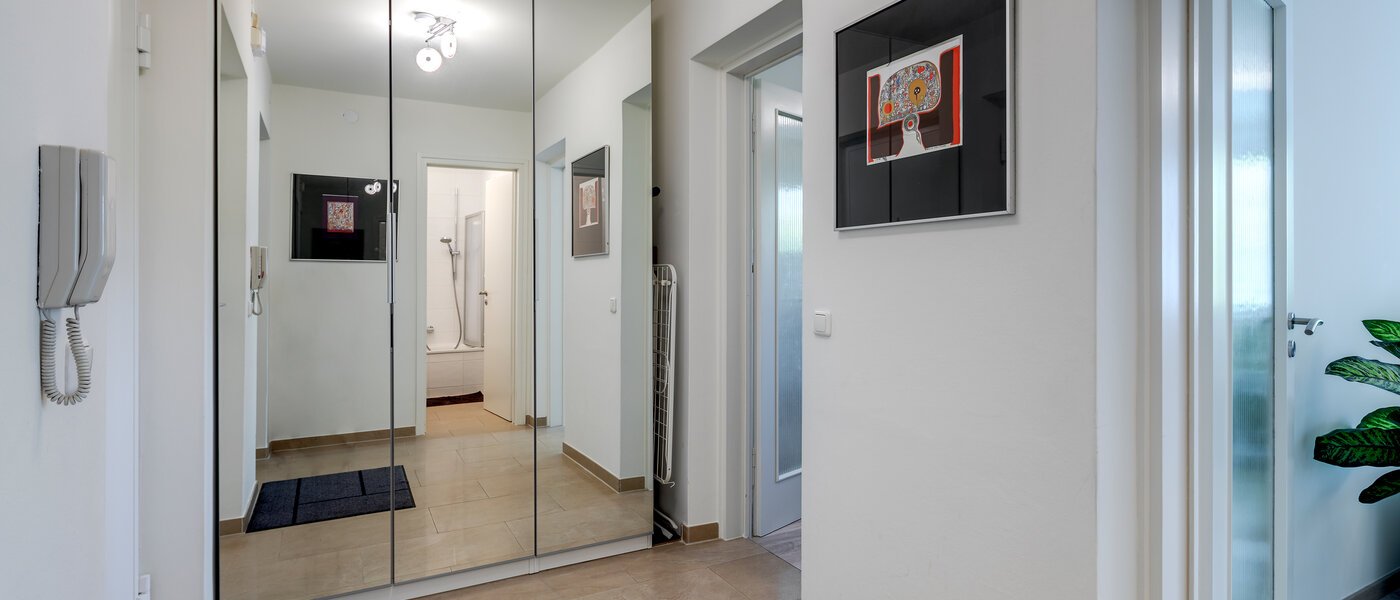 apartment München Haidhausen 01 hall 10555
