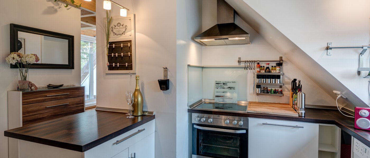 attic apartment München Obersendling 01 kitchen 10566