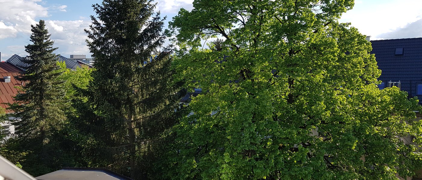 attic apartment München Obersendling 06 view 10566