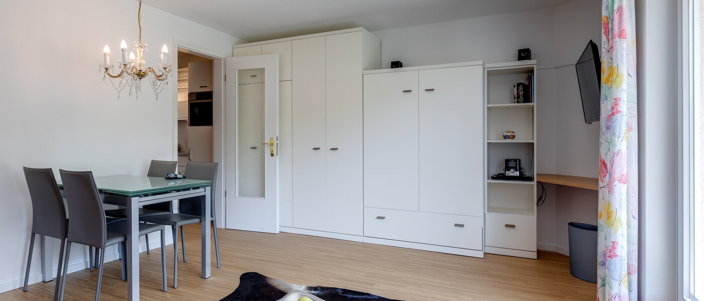 apartment München Thalkirchen 03 living room 10592