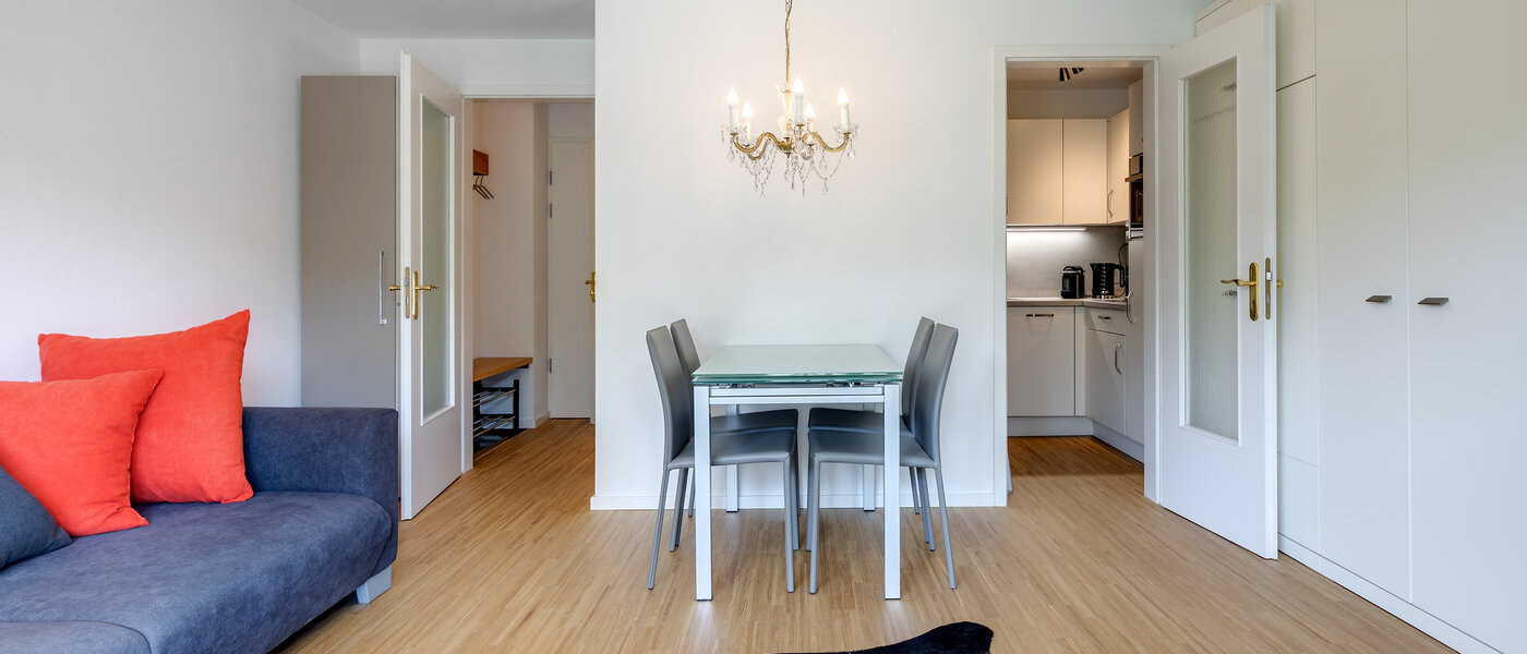 apartment München Thalkirchen 04 living room 10592