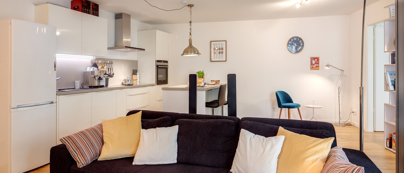 apartment München Giesing 02 living room 10618