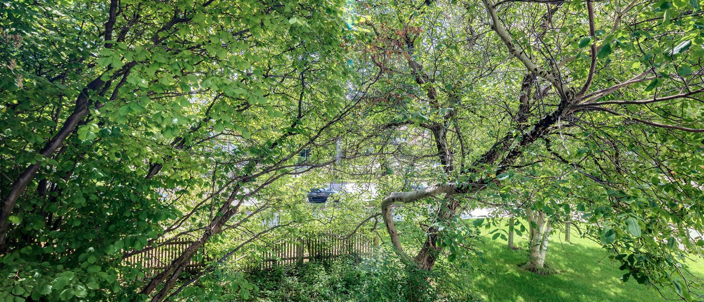 apartment München Bogenhausen 02 view 10643