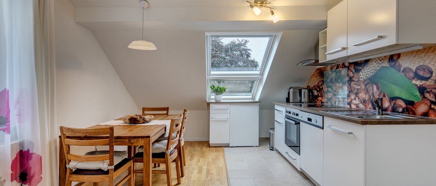 attic apartment Eching 01 kitchen 10655