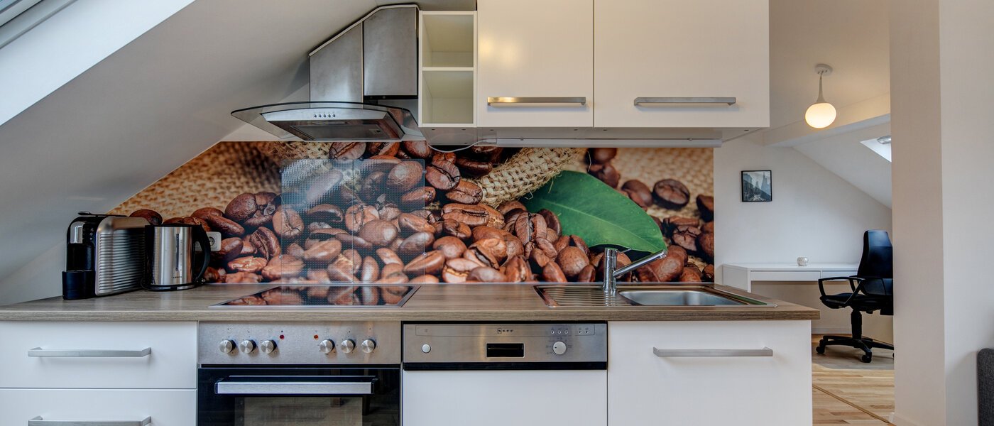 attic apartment Eching 02 kitchen 10655