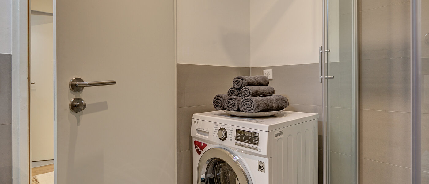 apartment München Obermenzing 02 bathroom 10663