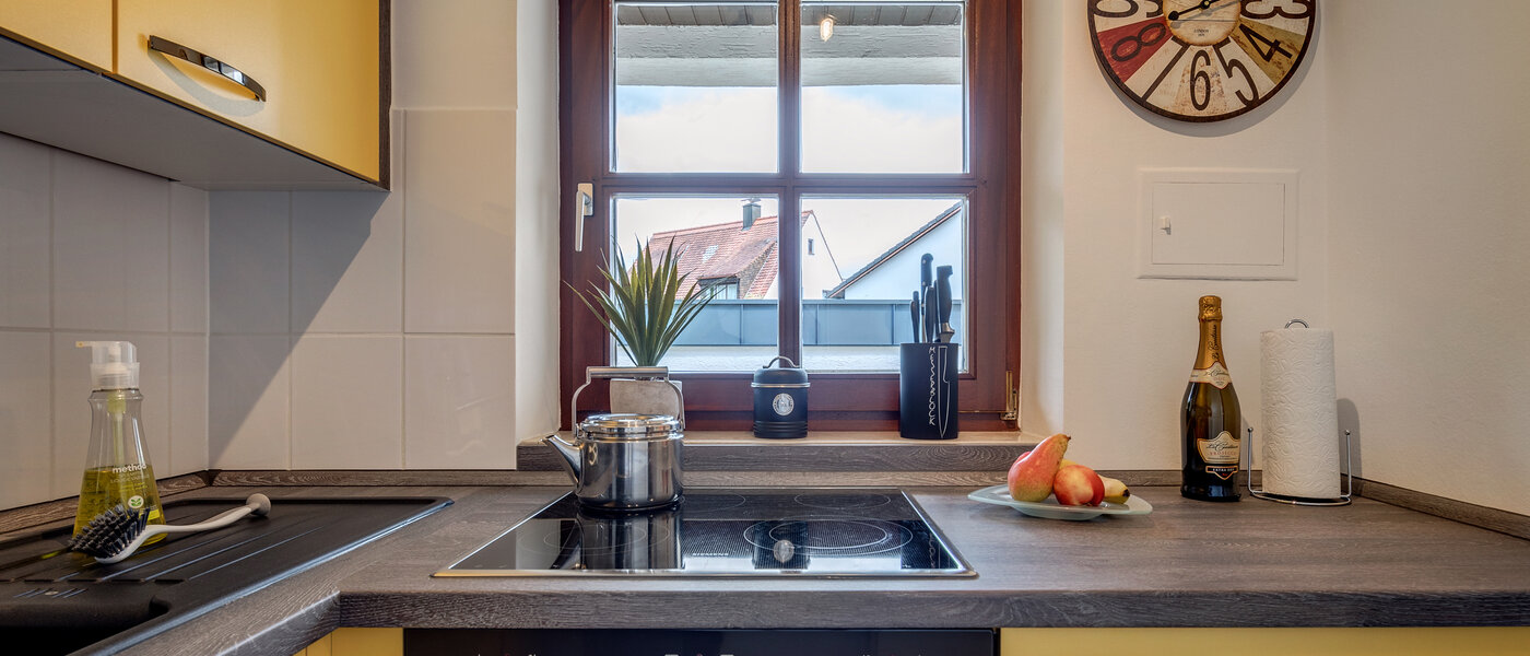 apartment München Lochhausen 03 kitchen 10673