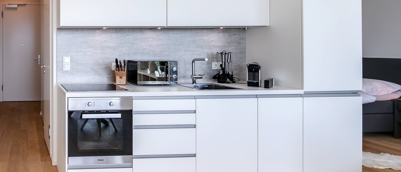 apartment München Nymphenburg 04 living room 10684