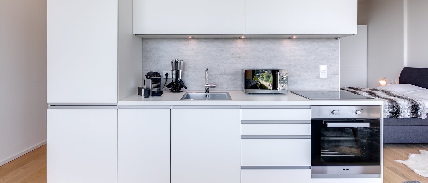 apartment München Nymphenburg 04 living room 10689