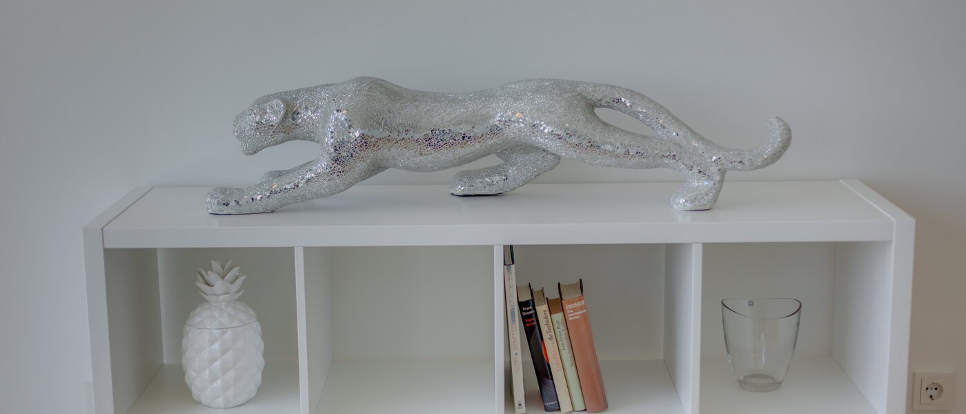 apartment München Nymphenburg 06 living room 10689