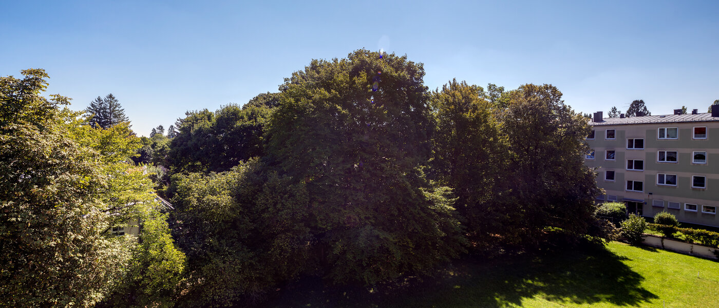 apartment München Berg am Laim 01 view 10726