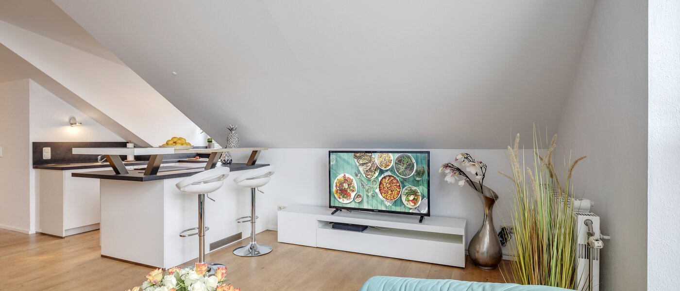 attic apartment München Denning 03 living room 10809