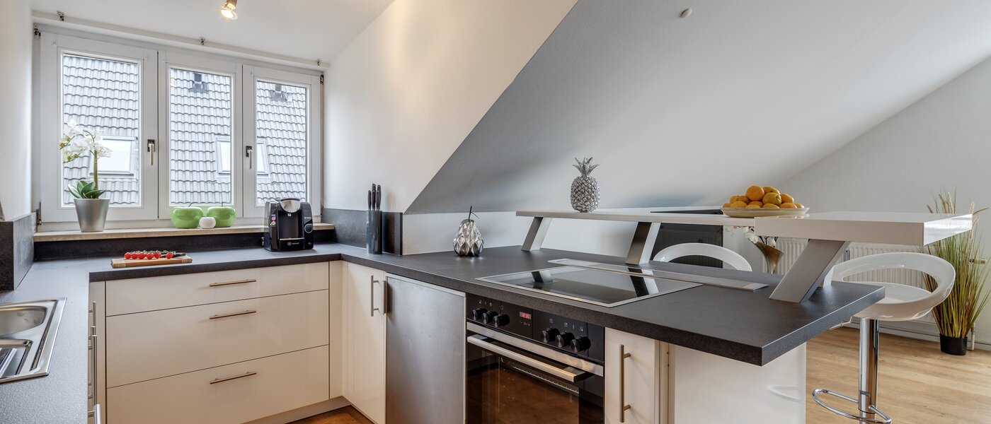 attic apartment München Denning 02 kitchen 10809