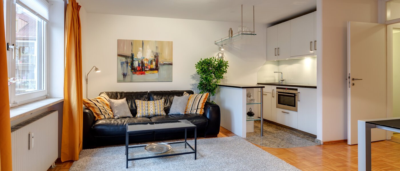 apartment München Sendling 01 living room 10820