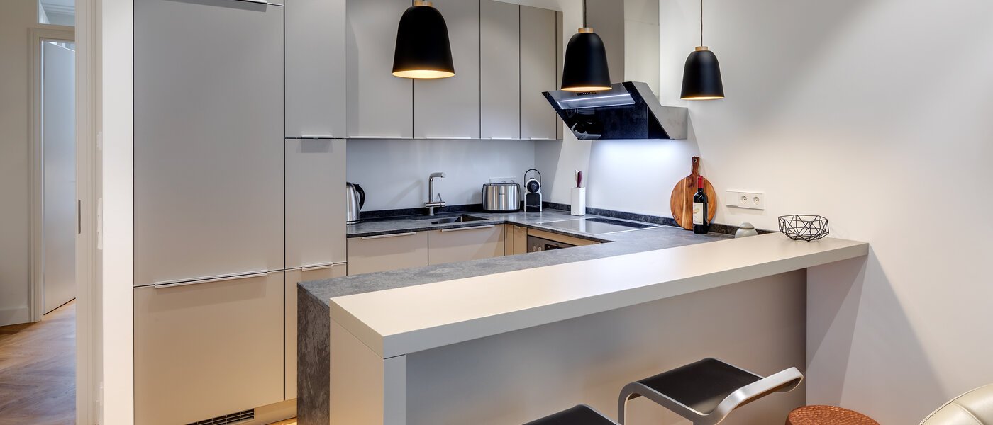 apartment München Maxvorstadt - Rund um den Josephplatz 01 kitchen 10848