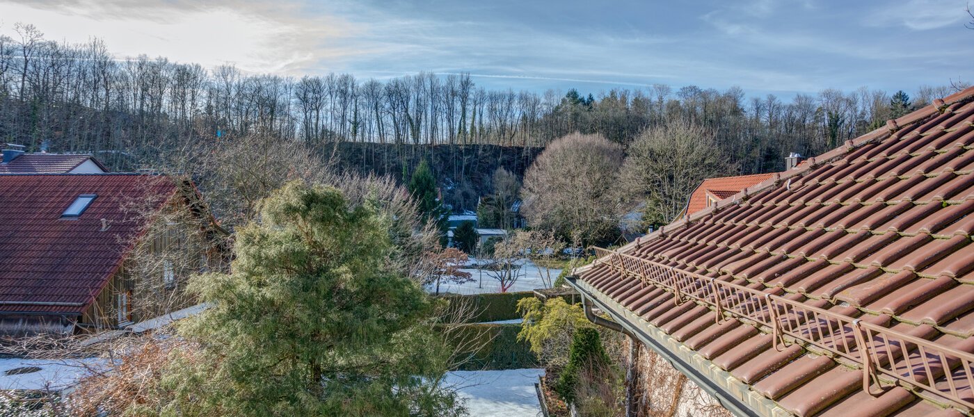attic apartment München Pullach im Isartal 06 view 10907