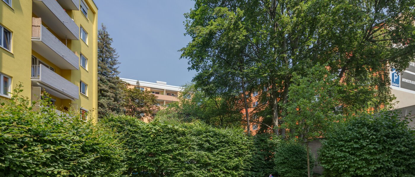 apartment München Haidhausen 01 garden 10914