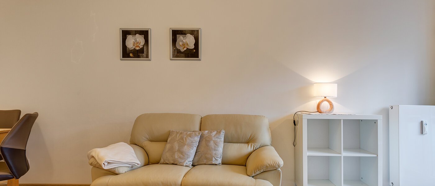 apartment München Haidhausen 03 living area 10914