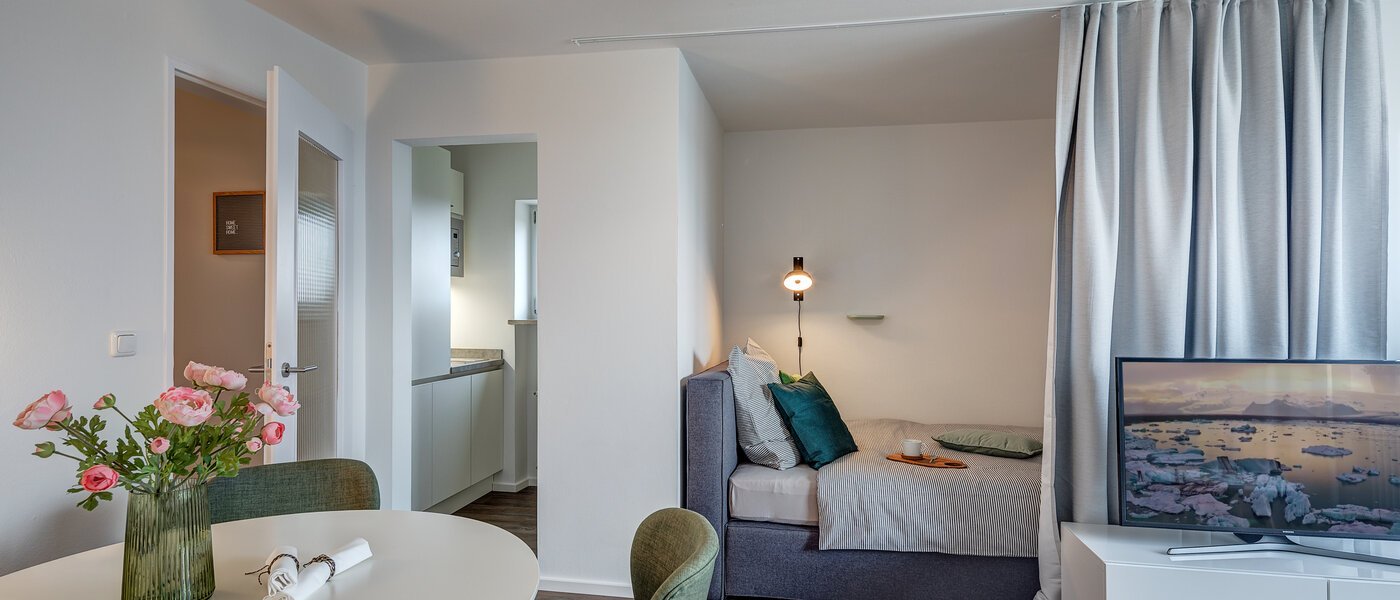 apartment München Sendling 04 living room 10917