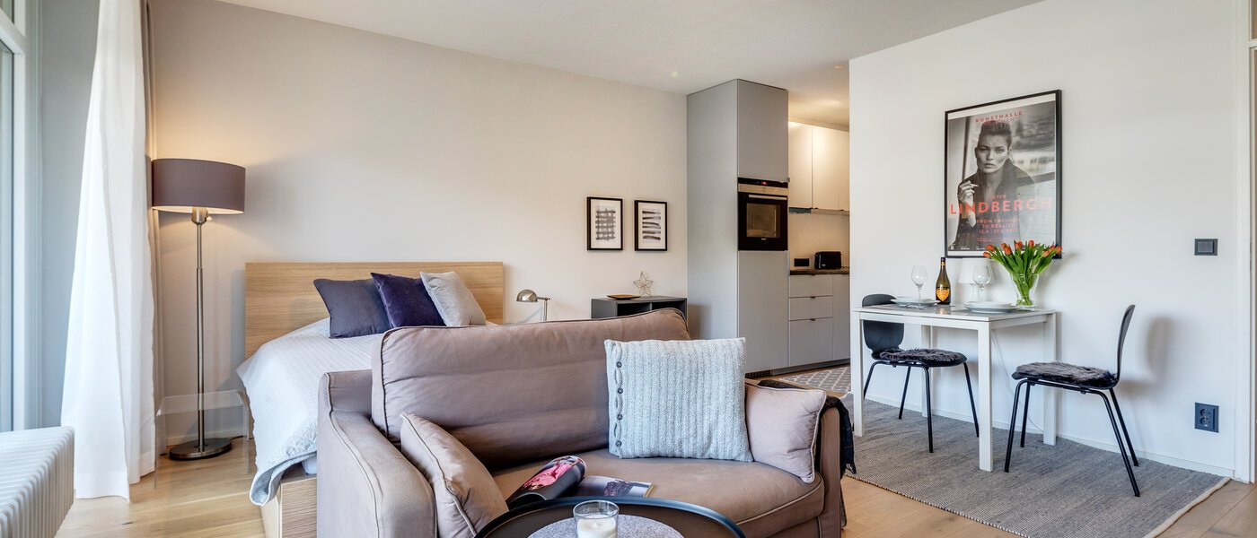 apartment München Obermenzing 02 living room 10924