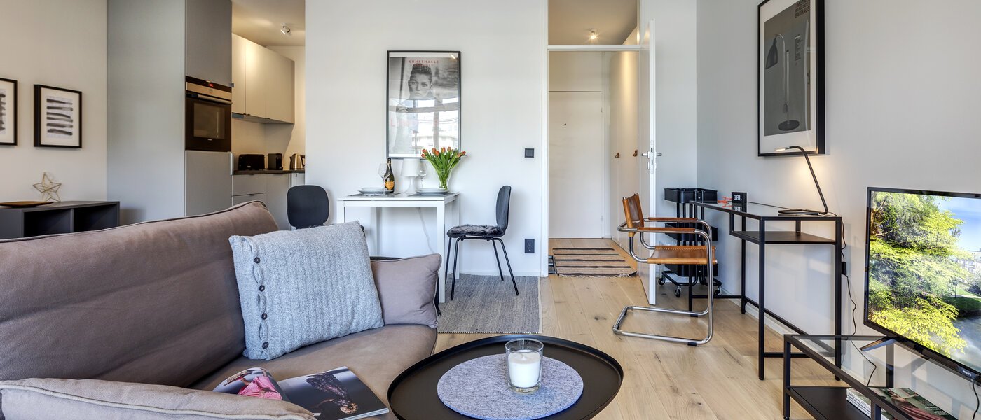 apartment München Obermenzing 03 living room 10924