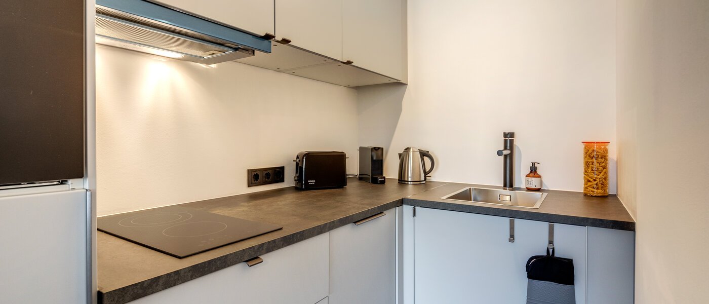 apartment München Obermenzing 01 kitchen 10924