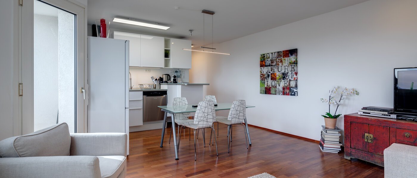 apartment München Parkstadt Bogenhausen 04 living room 10945