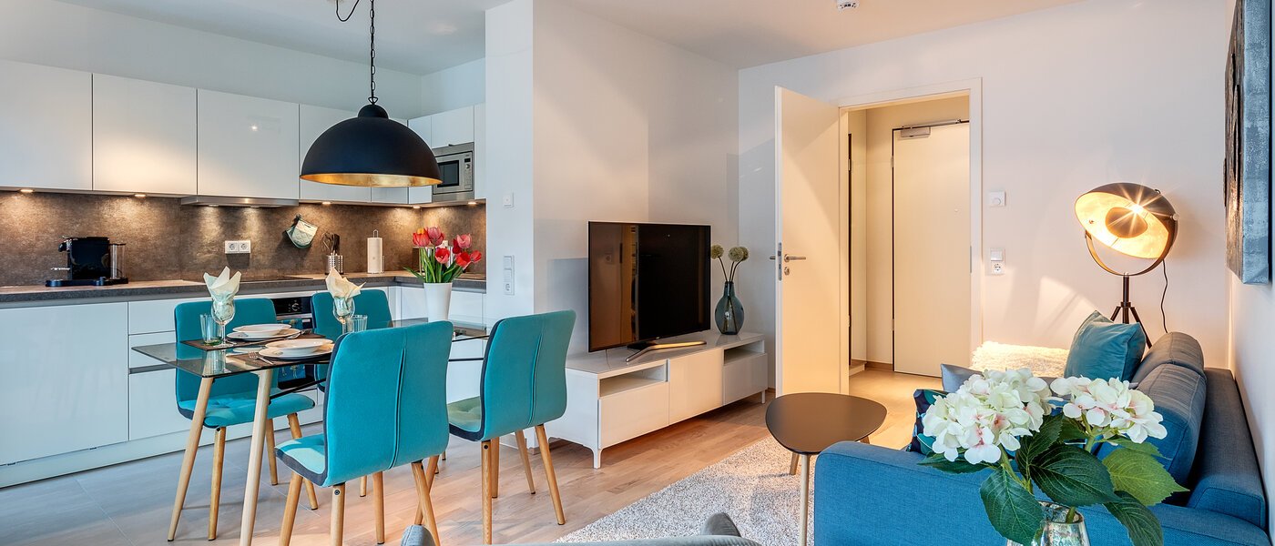 apartment München Sendling 02 living room 10973