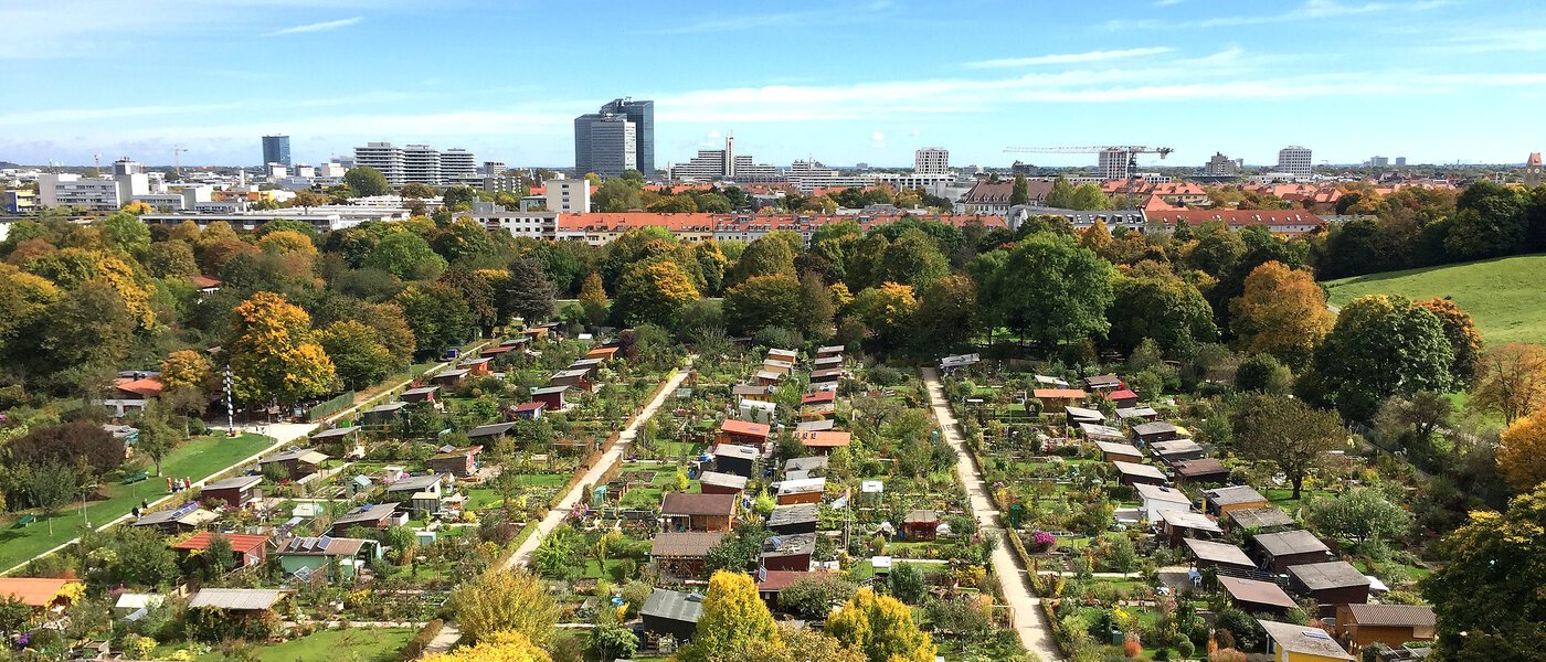 apartment München Schwabing-West 02 view 10978
