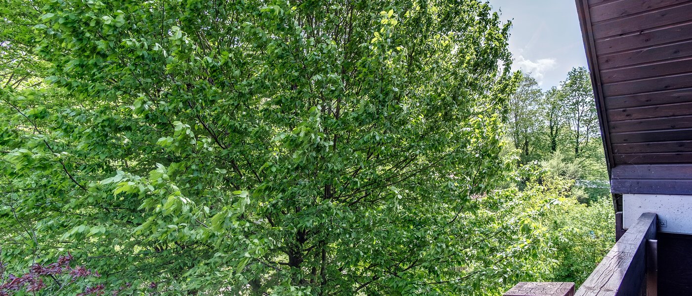 maisonette München Oberföhring 05 view 10997