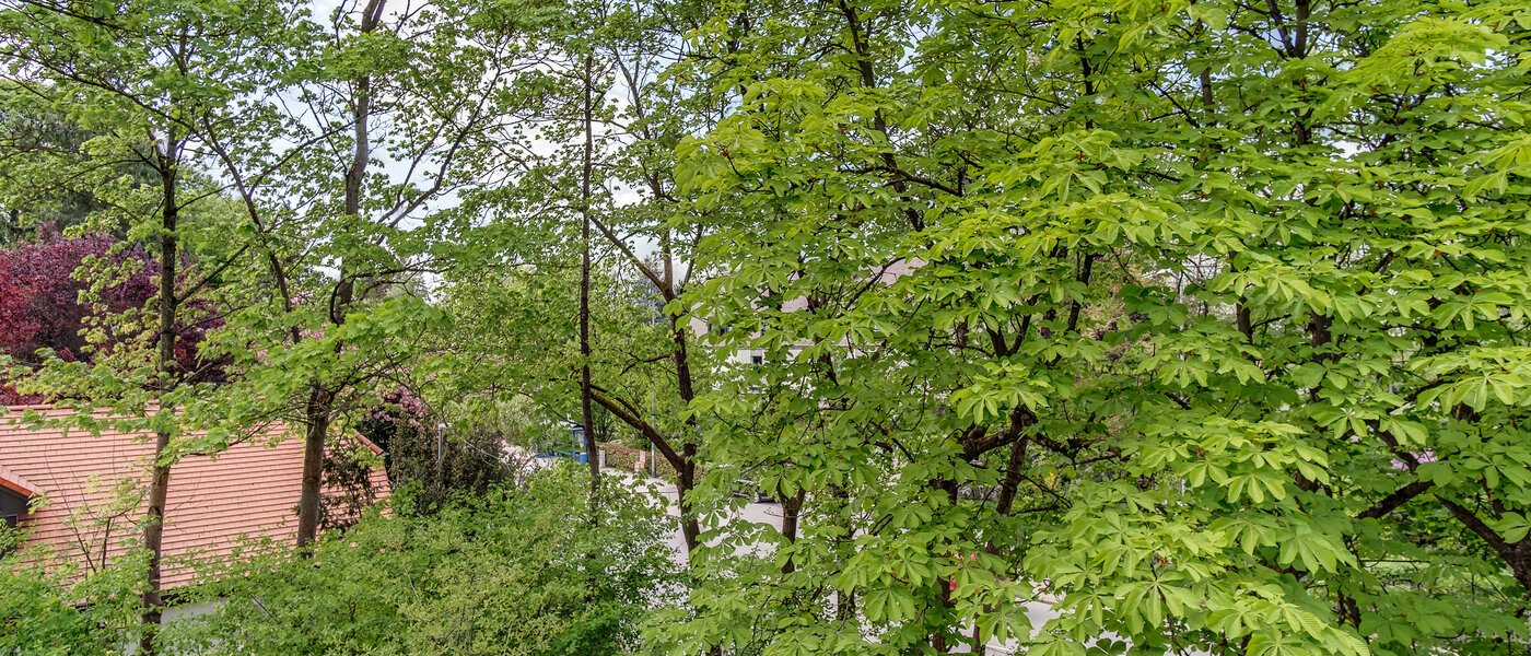 maisonette München Oberföhring 07 view 10997