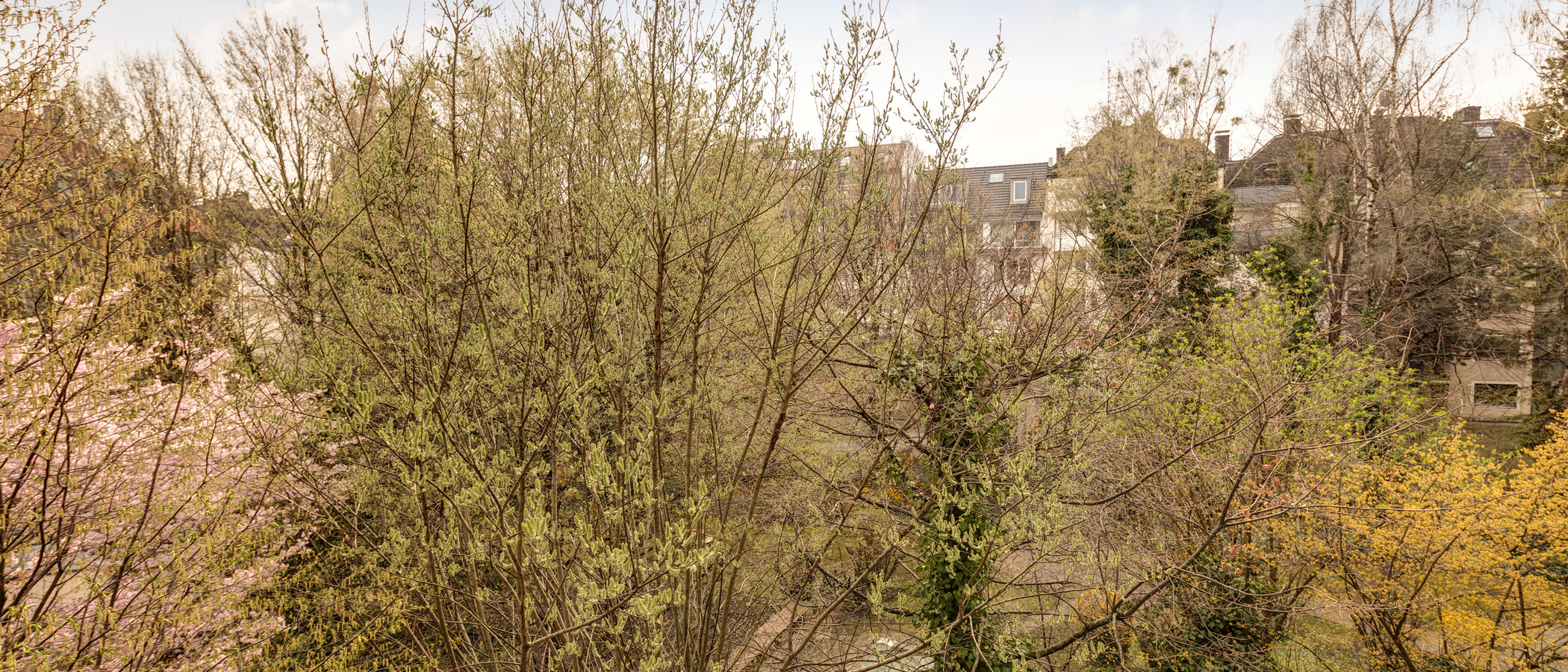 maisonette München Schwabing-West (rund um den Hohenzollernplatz) 02 view 11000