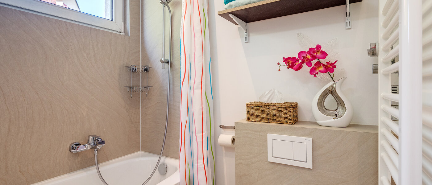 apartment München Neuhausen 02 bathroom 11009