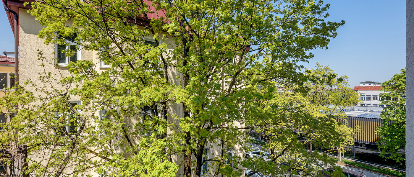 apartment München Neuhausen 04 view 11009