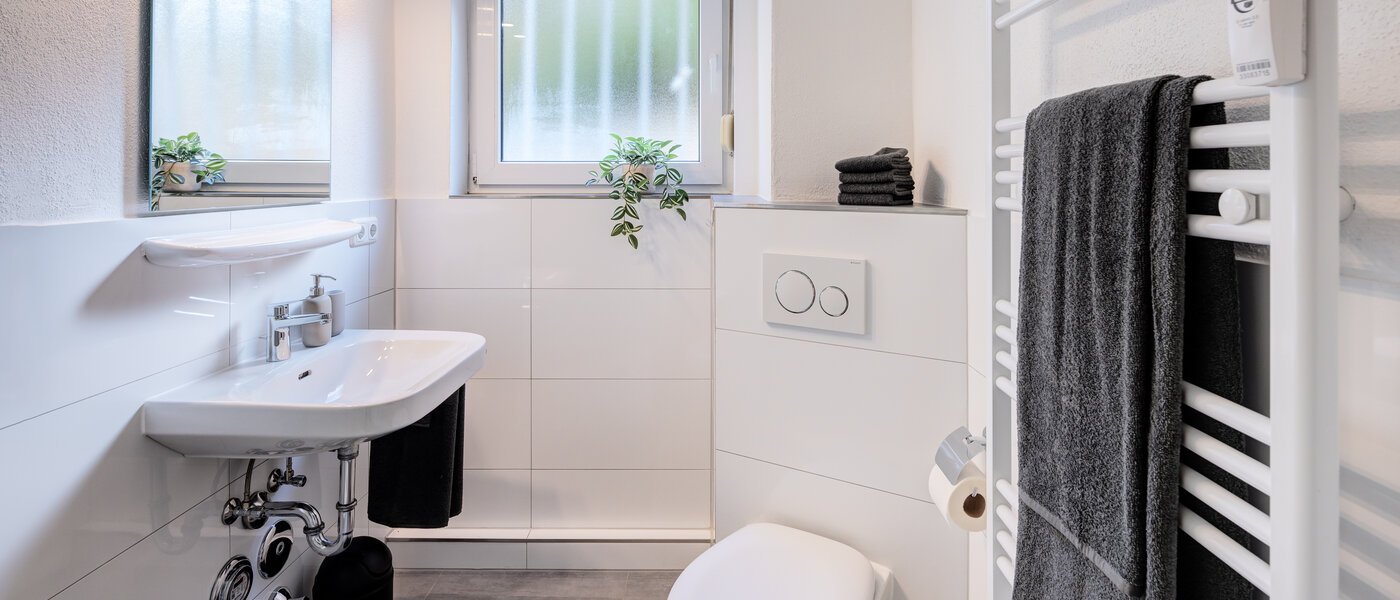 apartment München Schwabing-West (rund um den Bonner Platz) 02 bathroom 11020