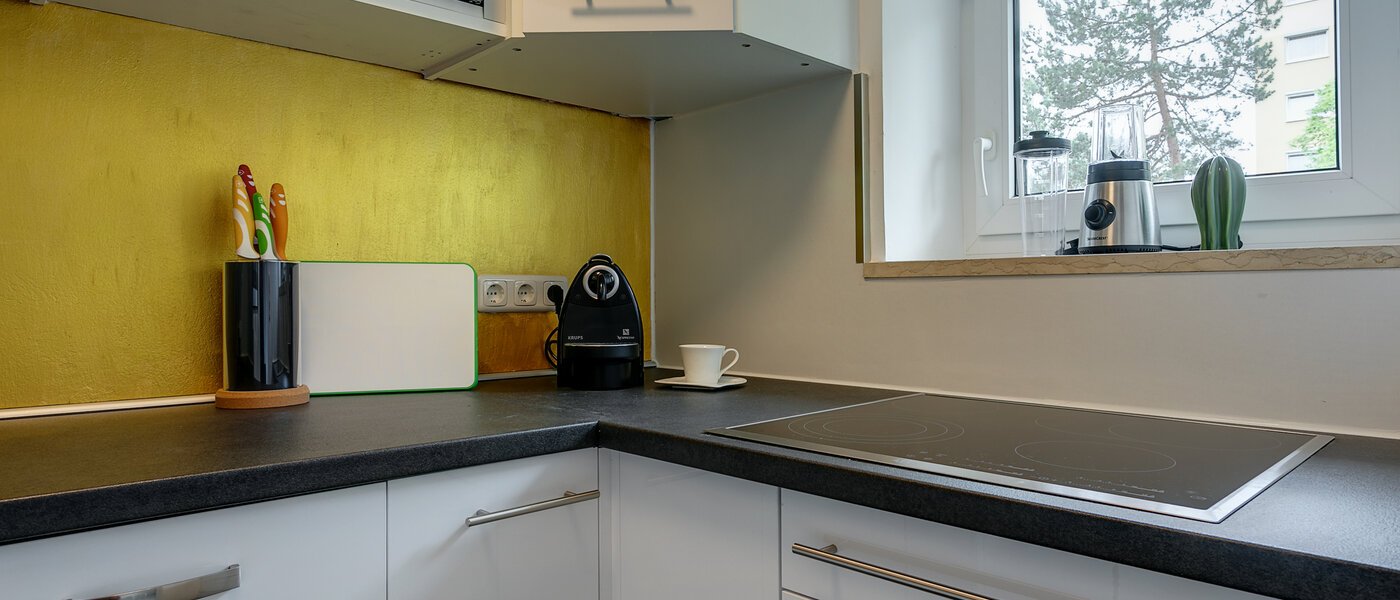 apartment München Fasanerie 02 kitchen 11028