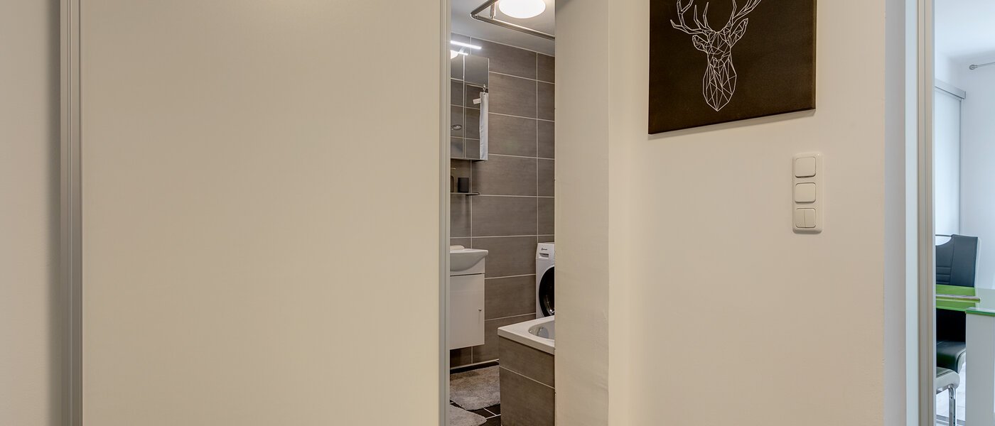 apartment München Fasanerie 03 hall 11028