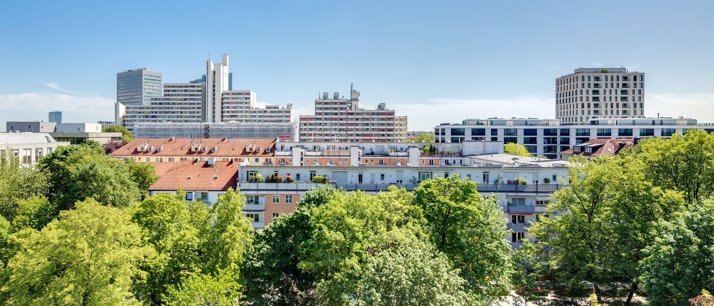 apartment München Schwabing (links der Leopoldstraße) 03 view 11029