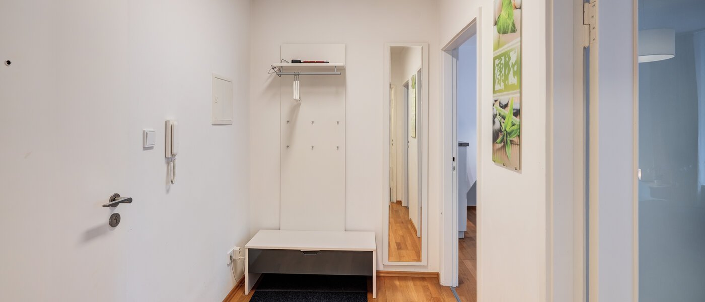 apartment München Haidhausen 01 hall 11036