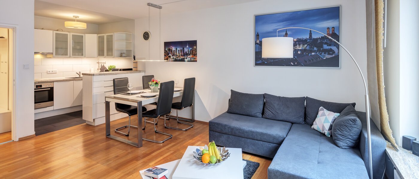 apartment München Haidhausen 01 living area 11036