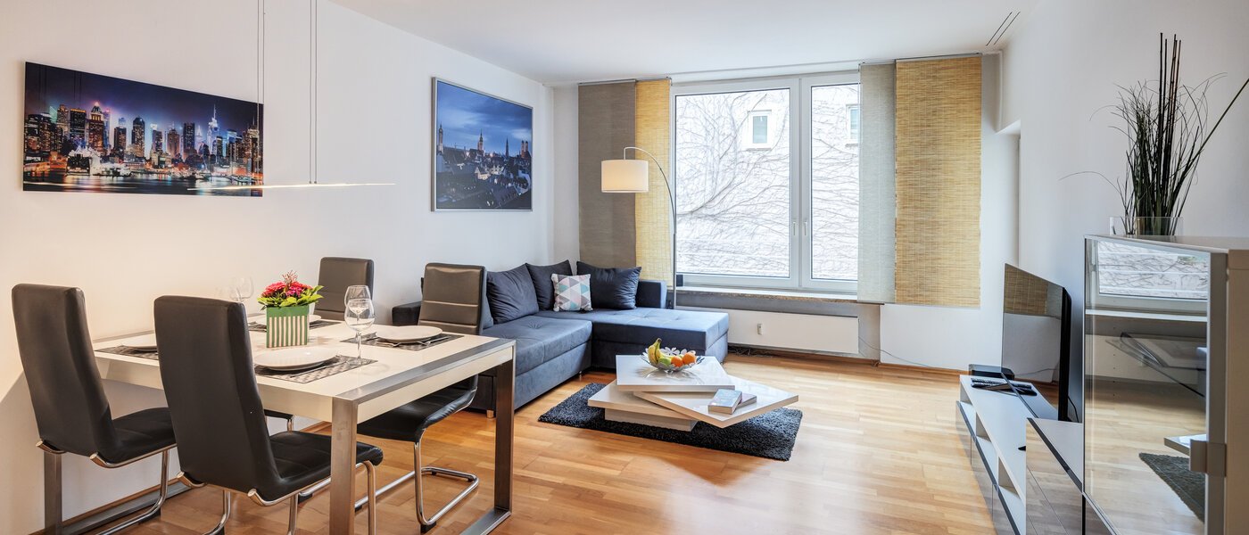 apartment München Haidhausen 02 living area 11036