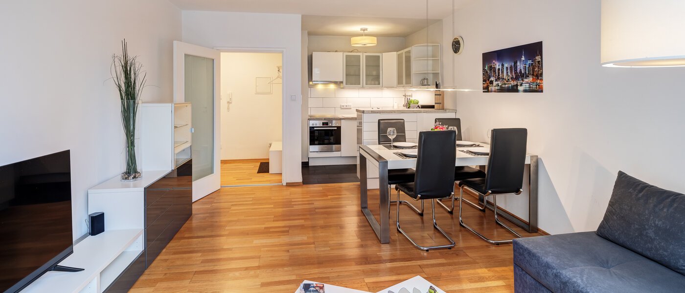 apartment München Haidhausen 04 living area 11036