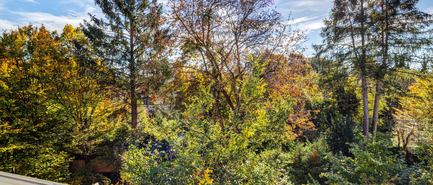 apartment München Nymphenburg 01 view 11055