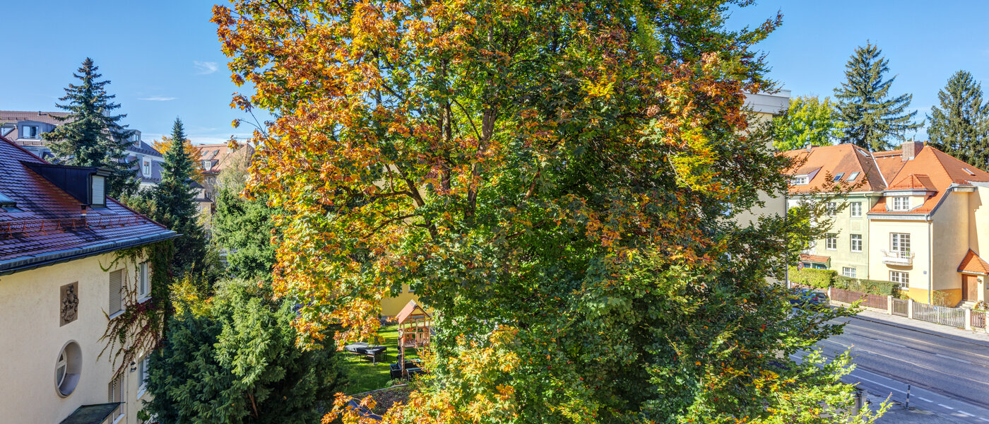 apartment München Nymphenburg 03 view 11055