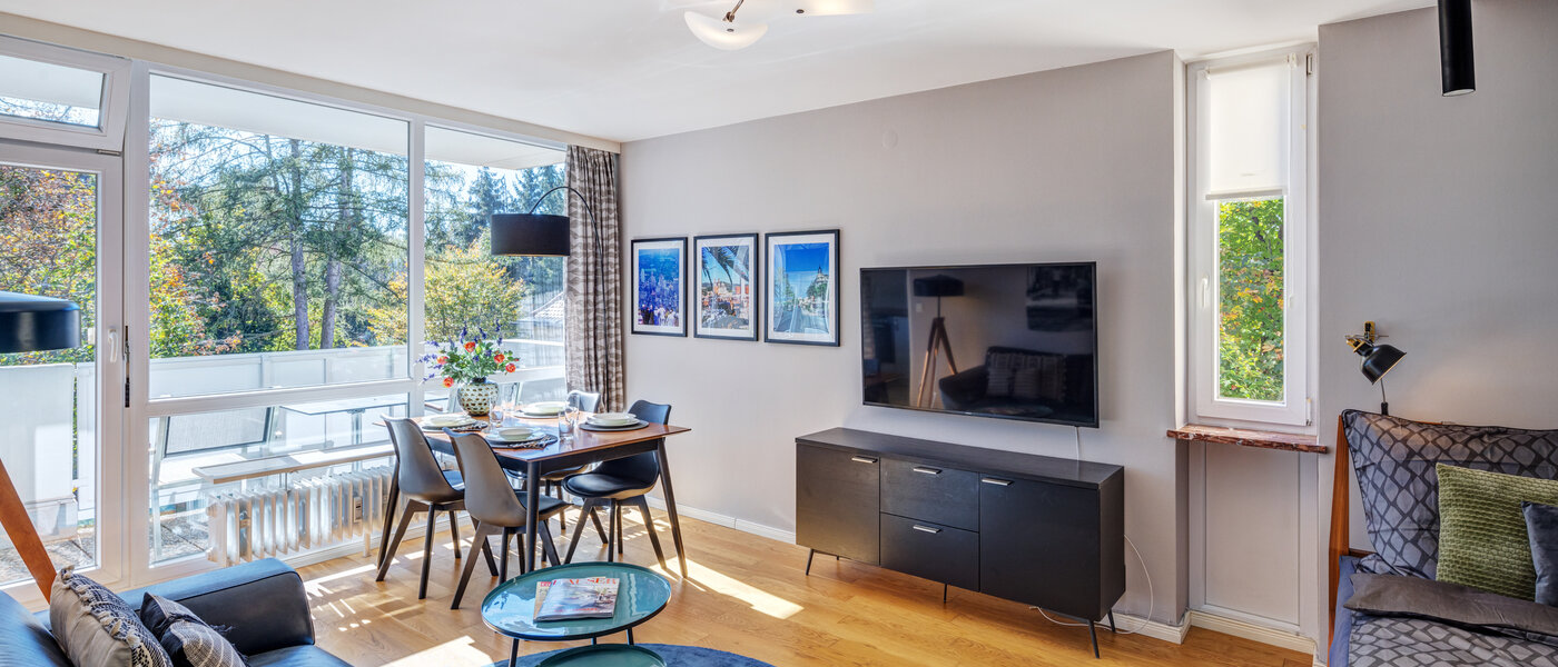 apartment München Nymphenburg 02 living area 11055