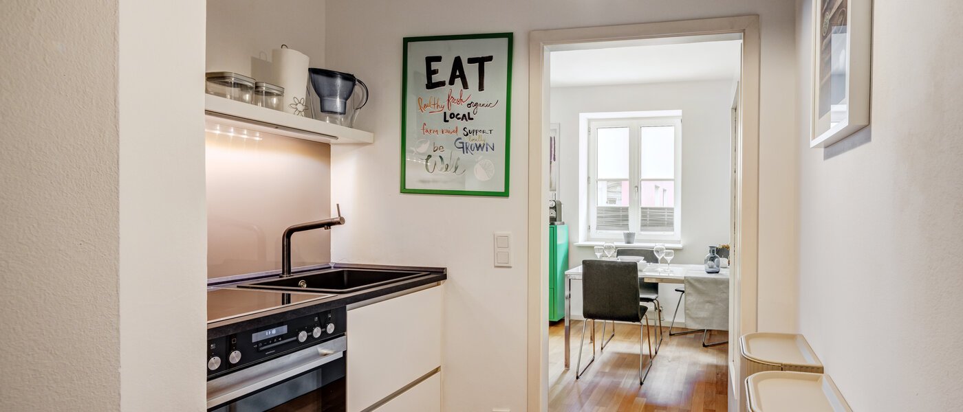 apartment München Au 02 kitchen 11062